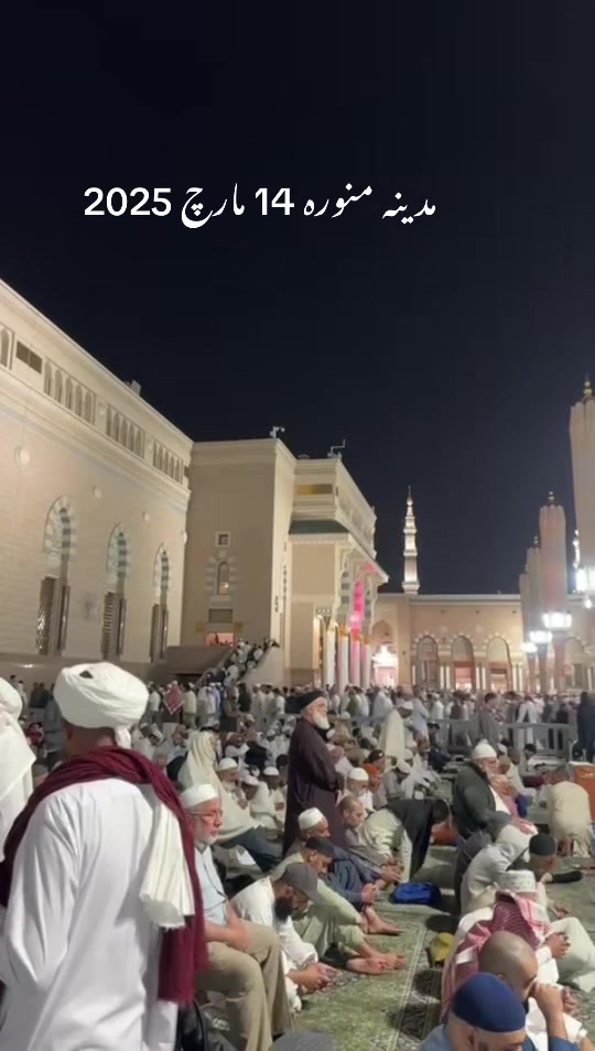@hafeezm17