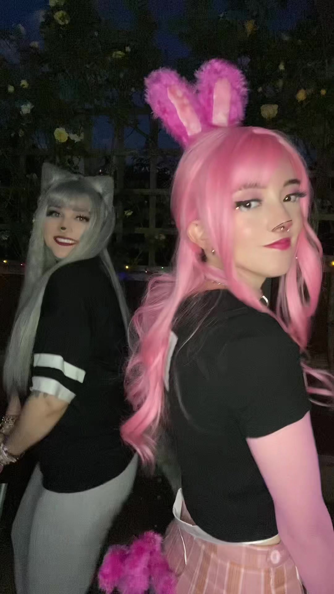 @Turtlelylev
