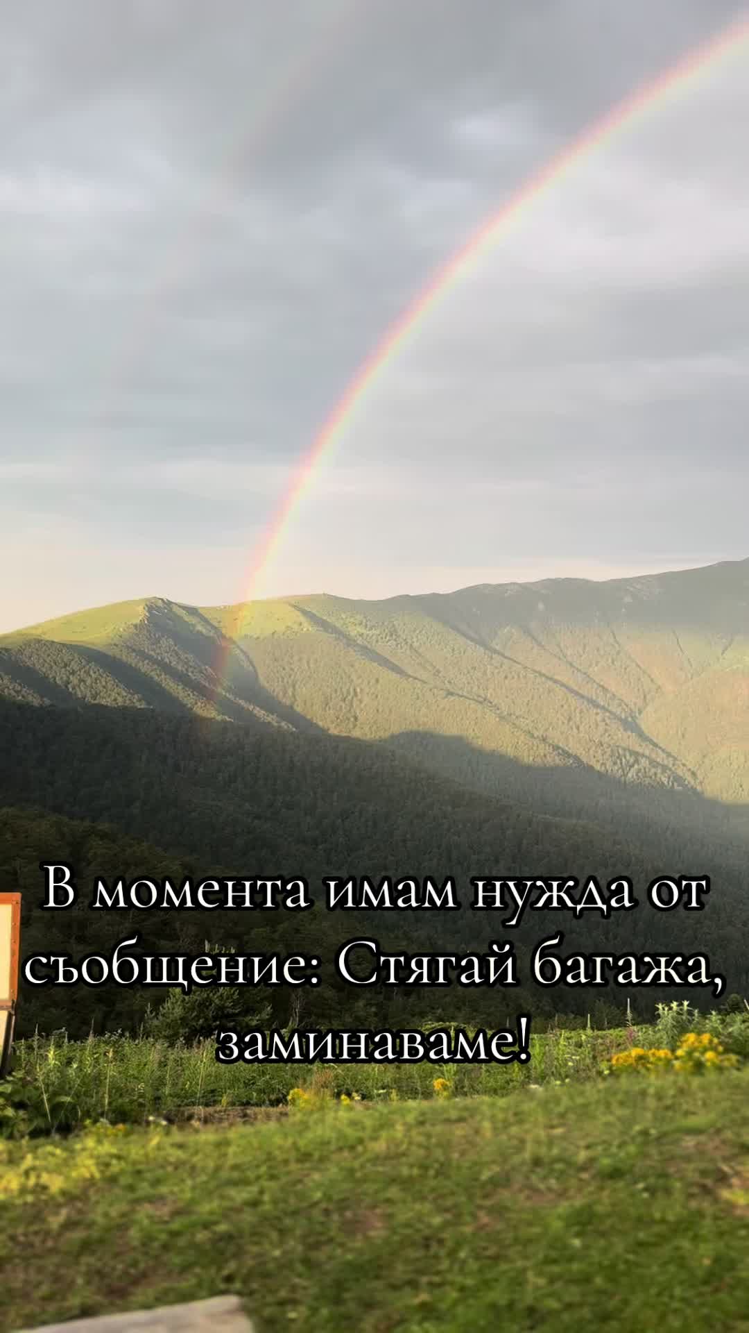 @TihomirD