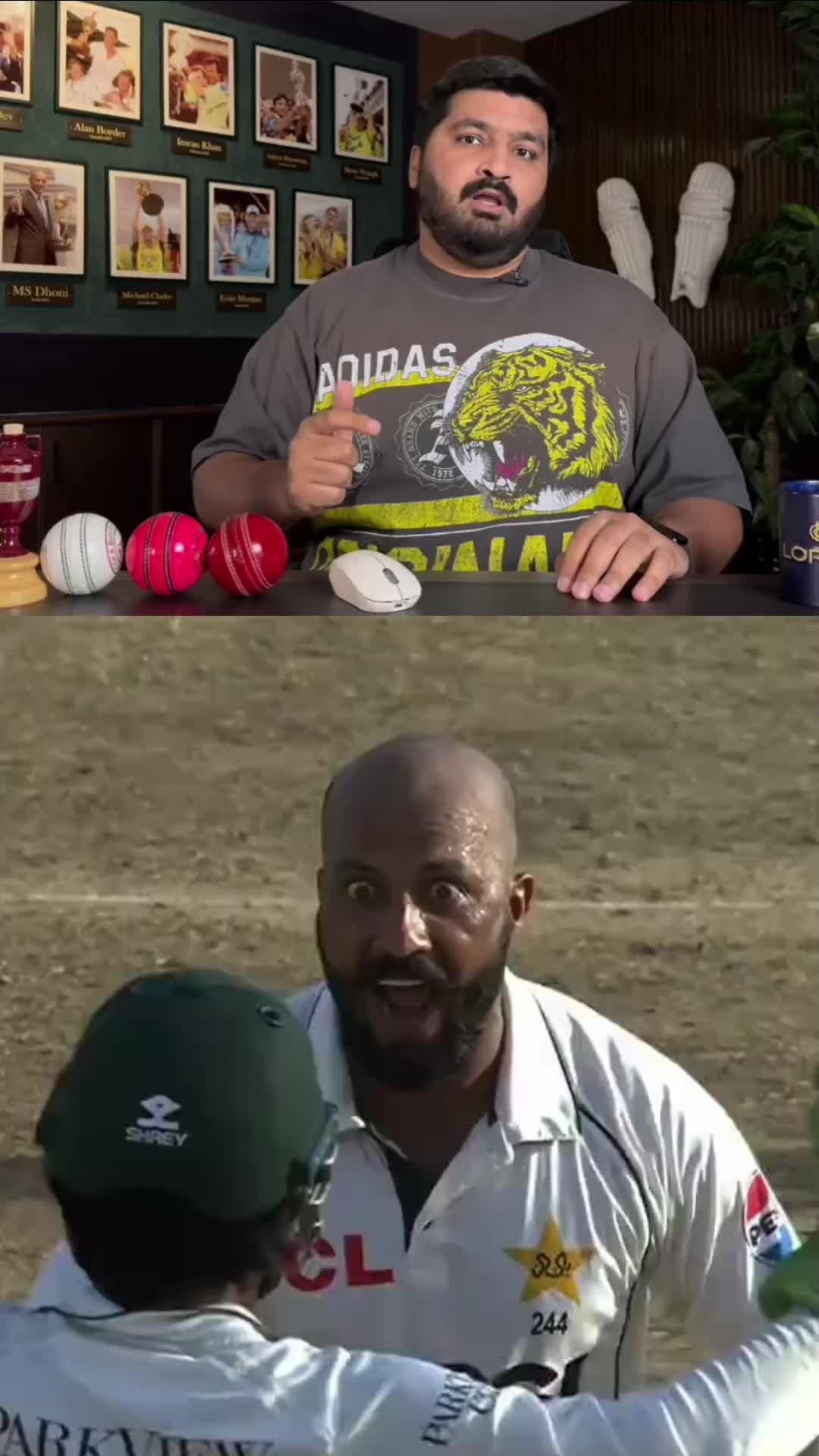 @Cricket Chat GPT