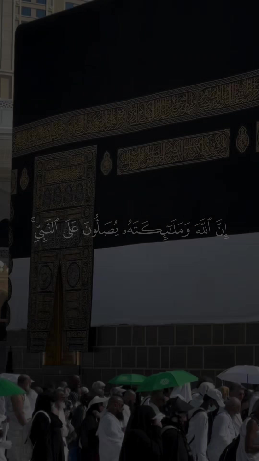 @ألا بذكر الله تطمئن القلوب 🤍