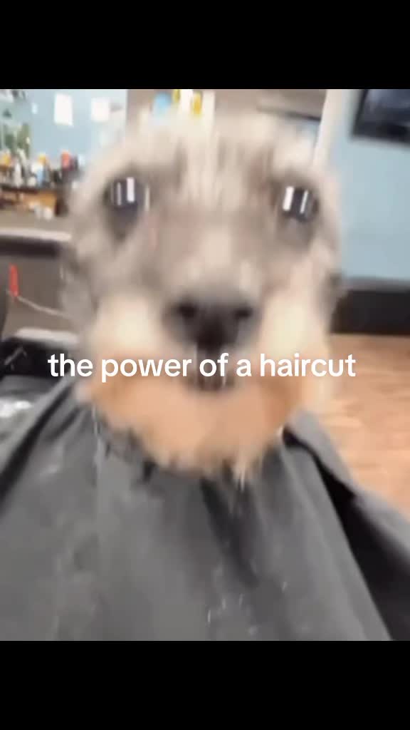 @TheShamanOfStink