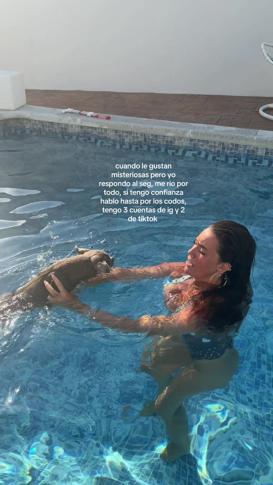 @sedicekiarita