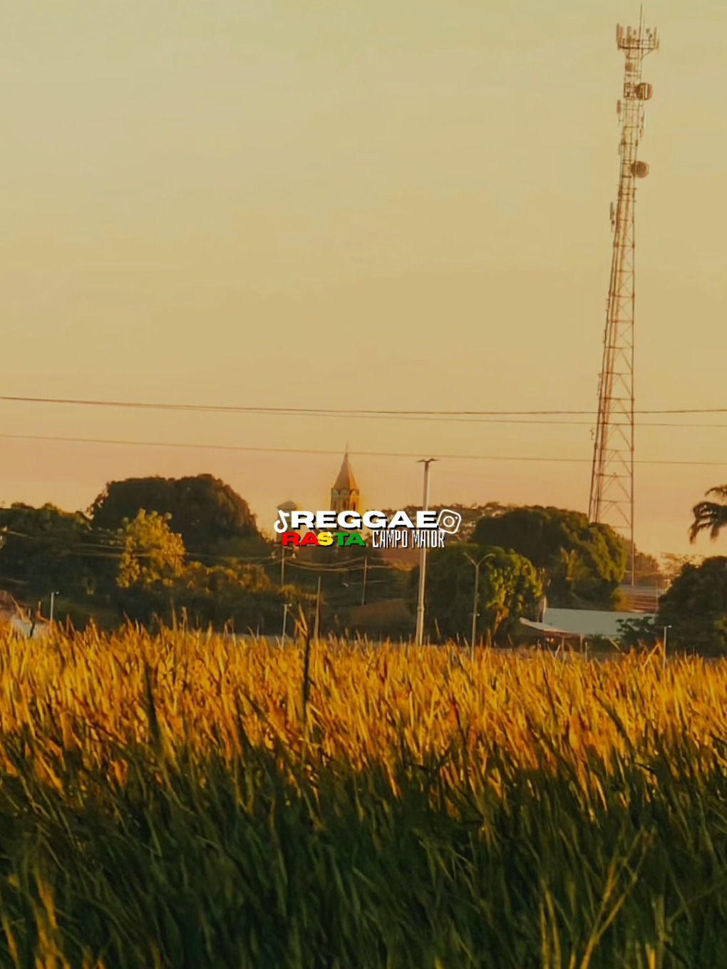 @REGGAE RASTA CM