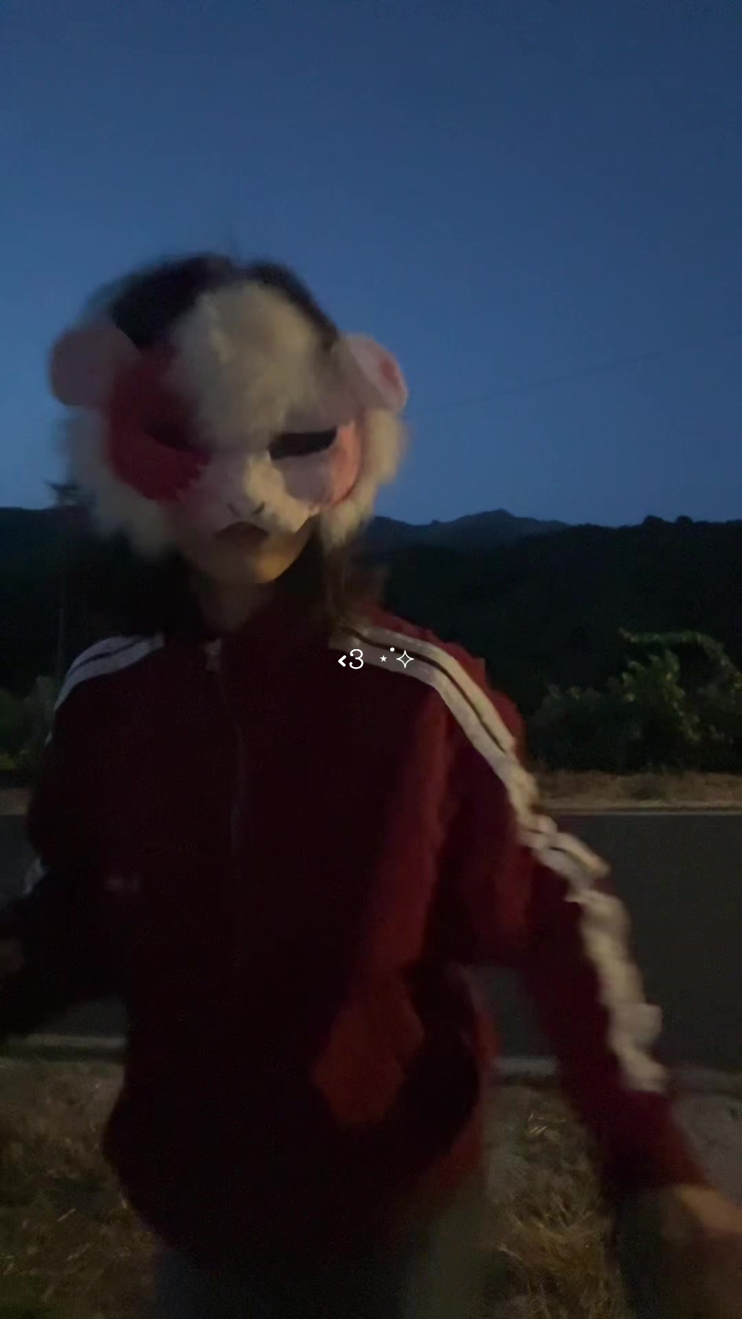 @🦝.✦ ݁˖