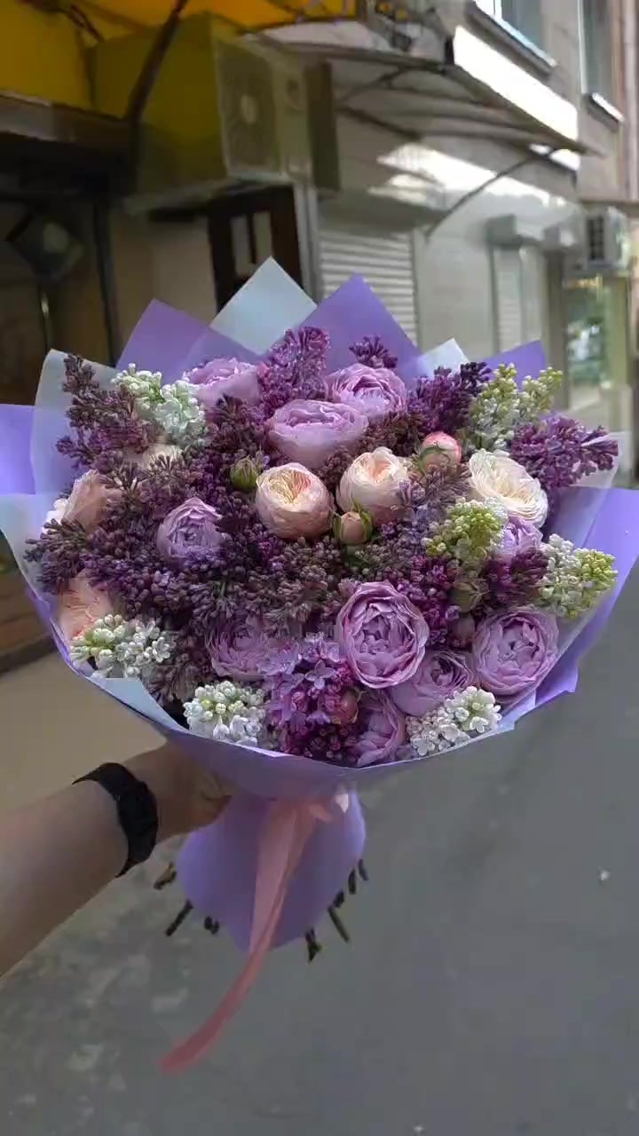 @Dominika