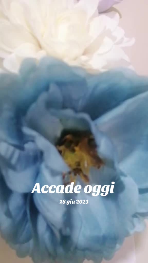 @PasticciEla
