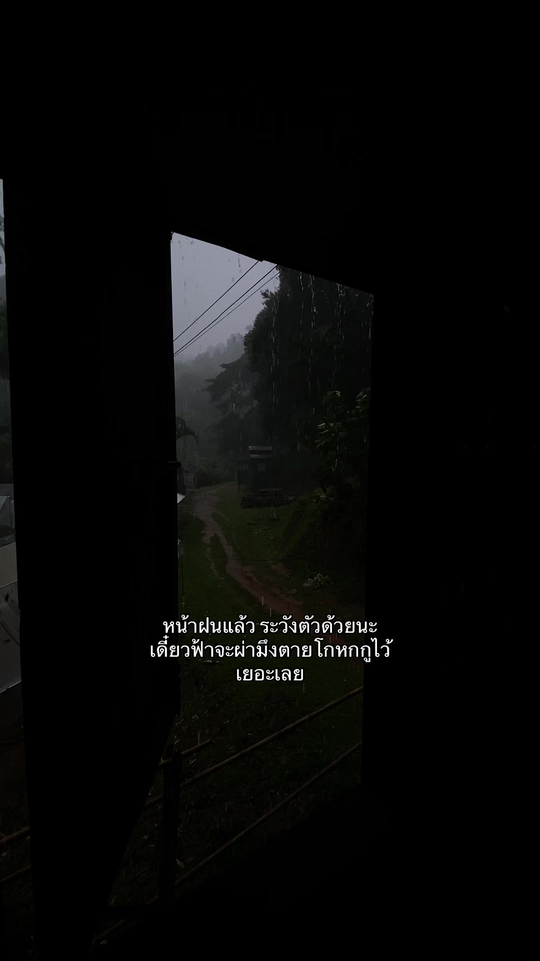 @เธรดของหมีพู🐻(11.7k)