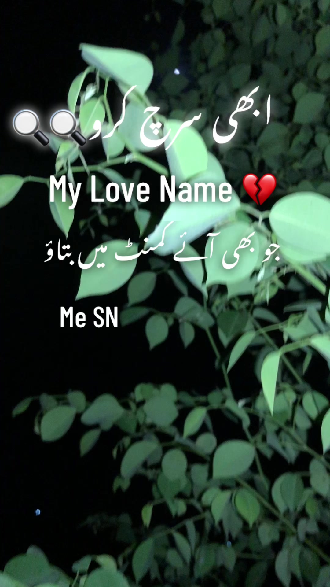 @ساجی موہل