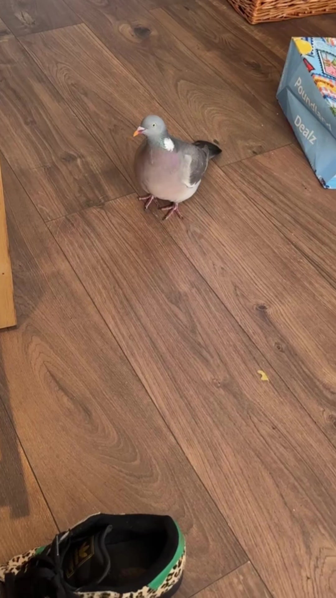 @Mummatotwoo