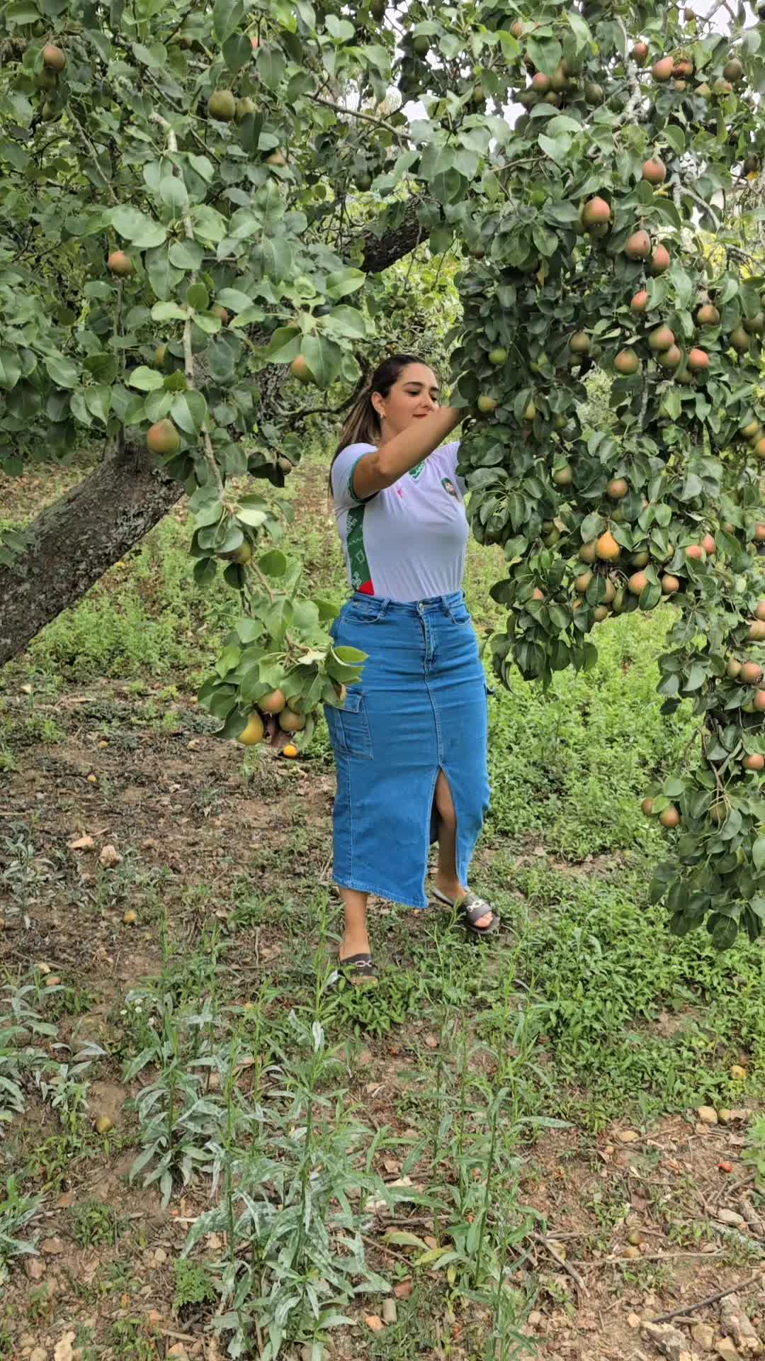 @✨️amina👸🐓