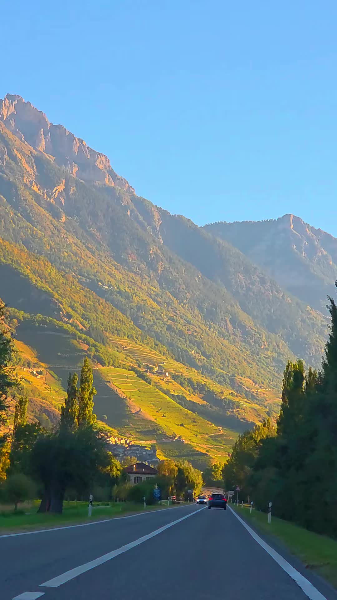 @flores Sérgio