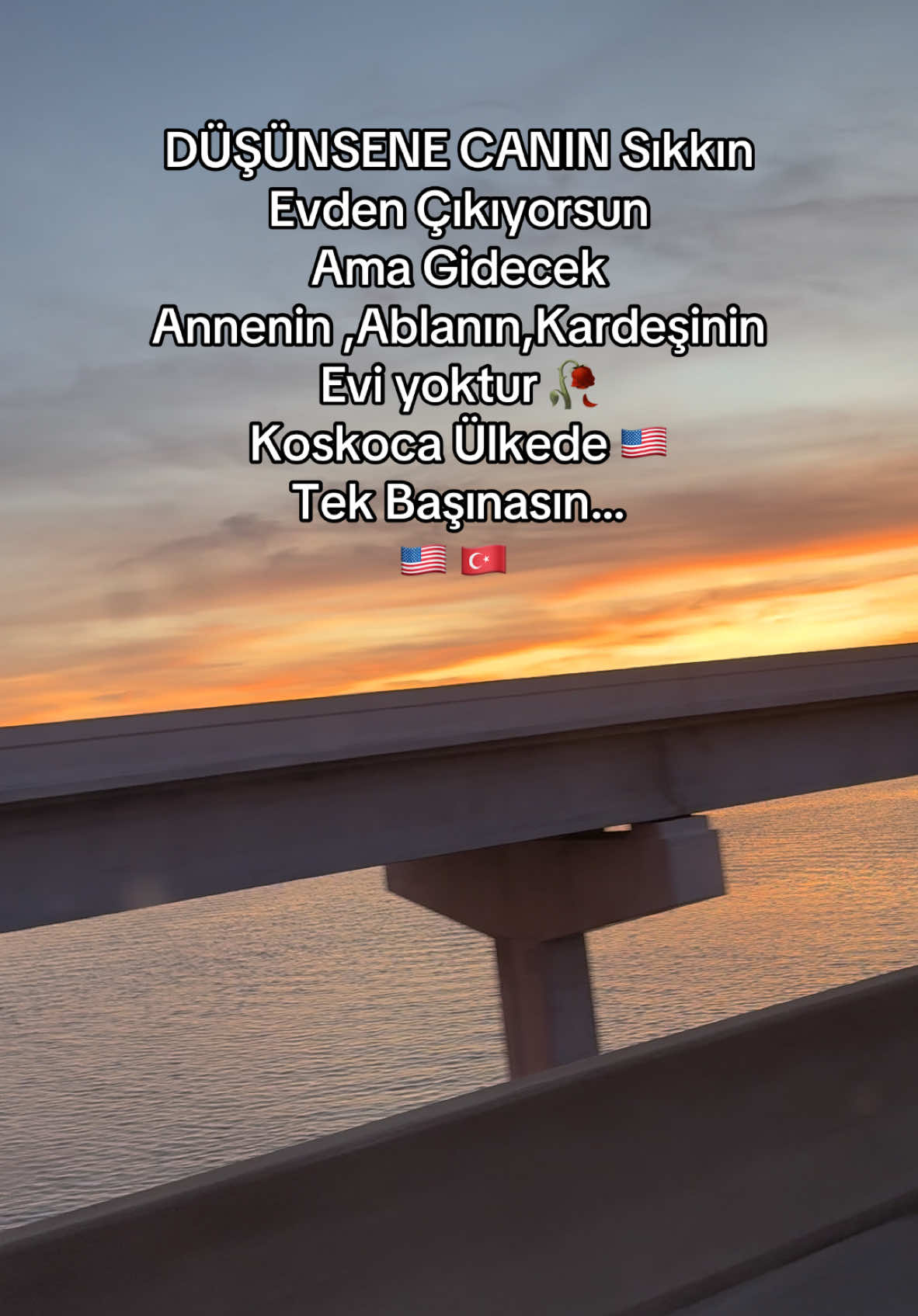 @Avcı🇺🇸🇹🇷