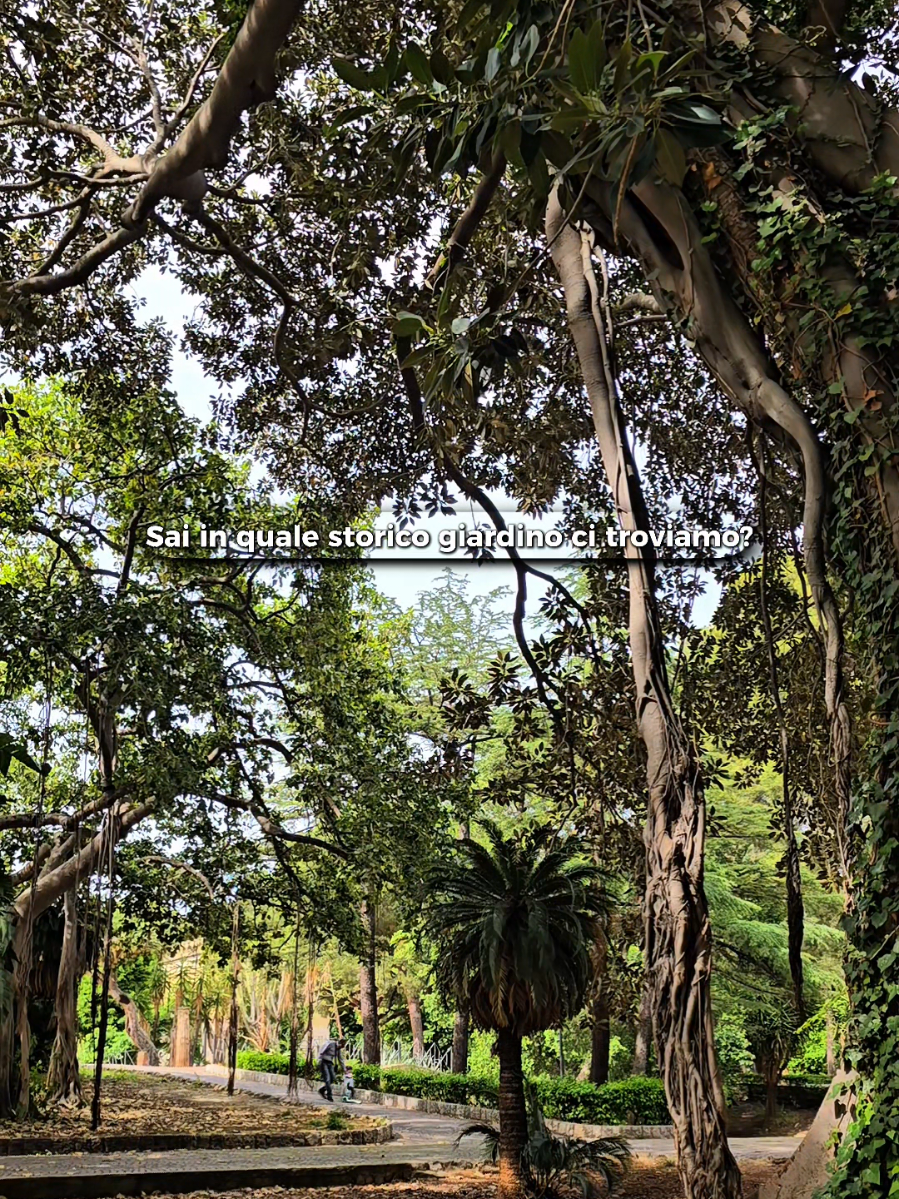 @MondoPalermo