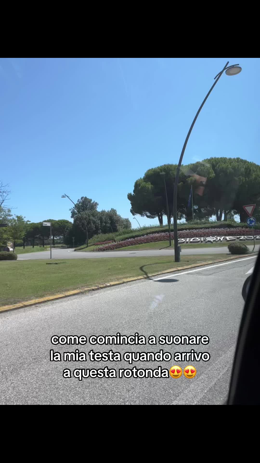 @🐆