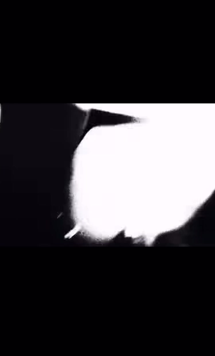 @Reference of the revenge