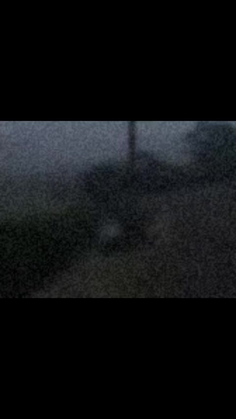 @user18407900166