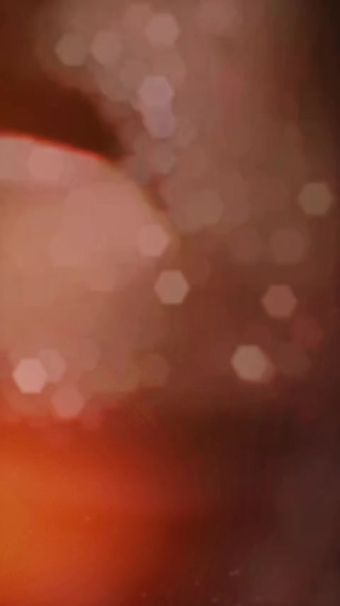 @꧁༒༺SA҉G҉A҉R҉༻༒꧂▄︻┻═┳一