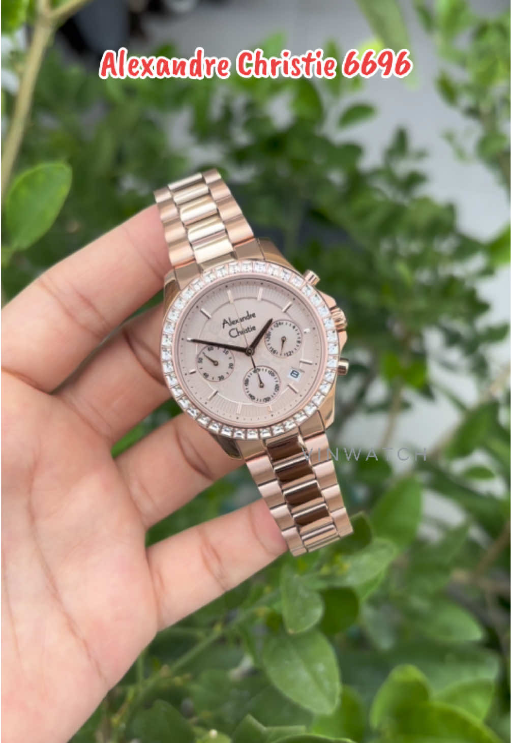 @vinwatch