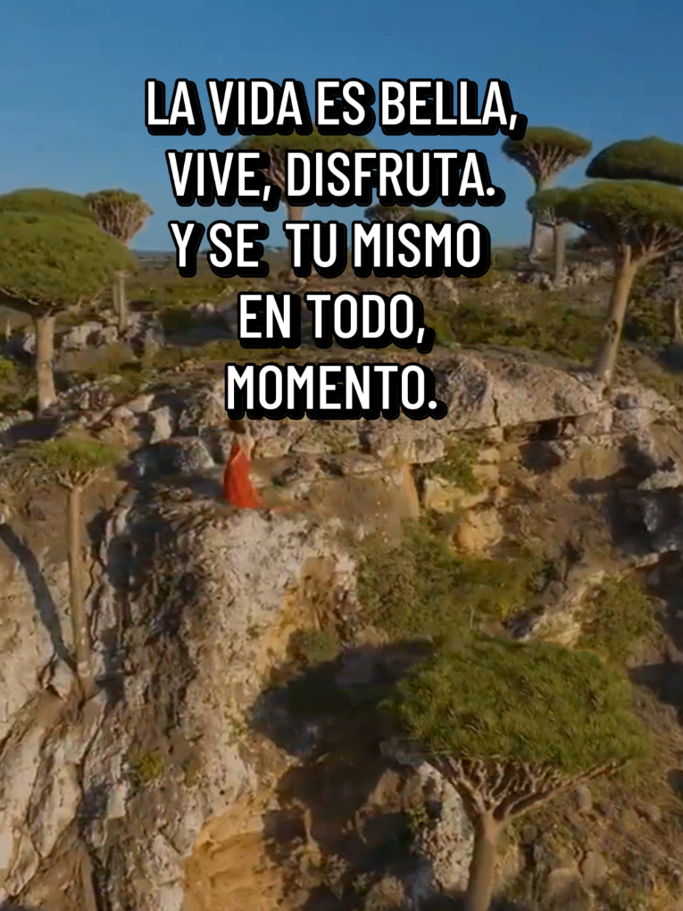 @vicmen