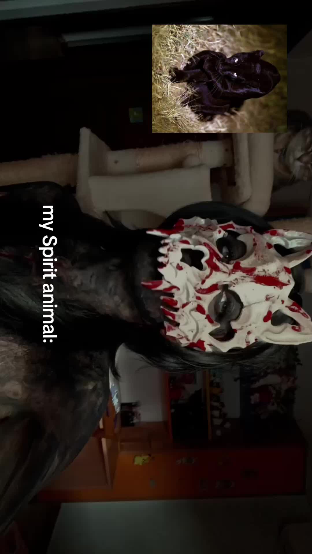 @🦇₊‧꒦꒷꒦ ꒷꒦‧˚.⁺🦇