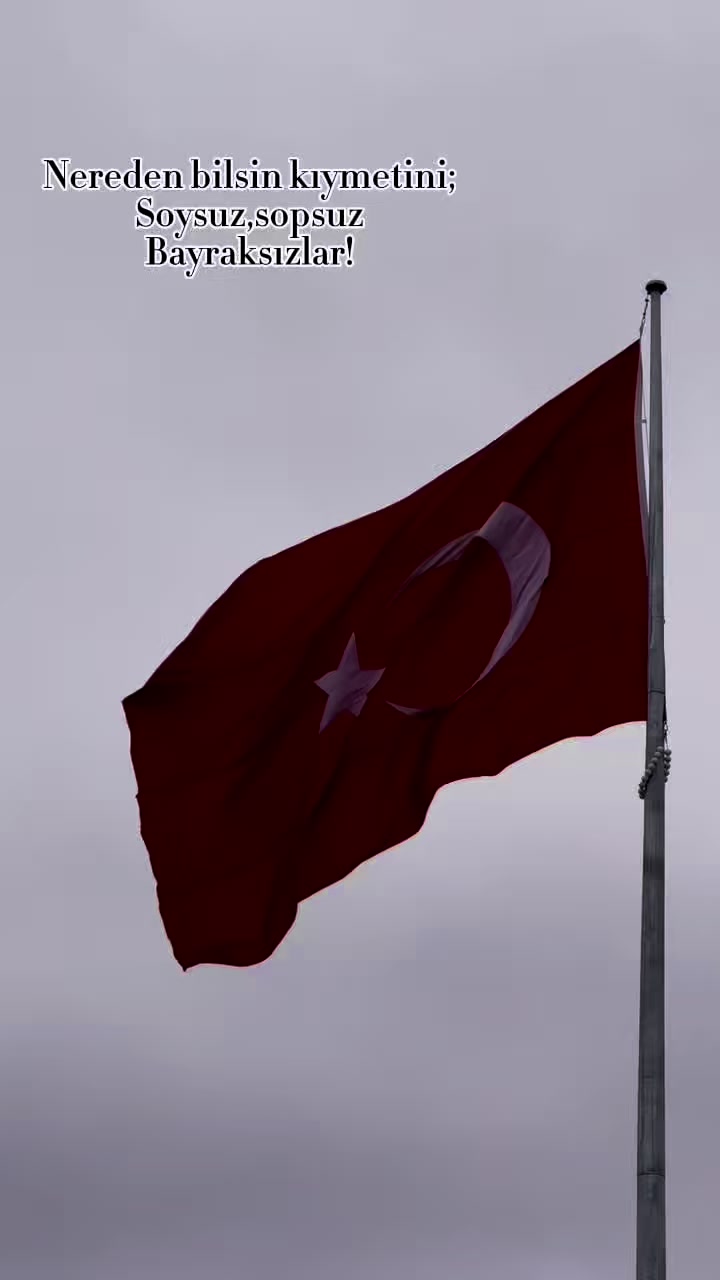 @ddenizsancarr
