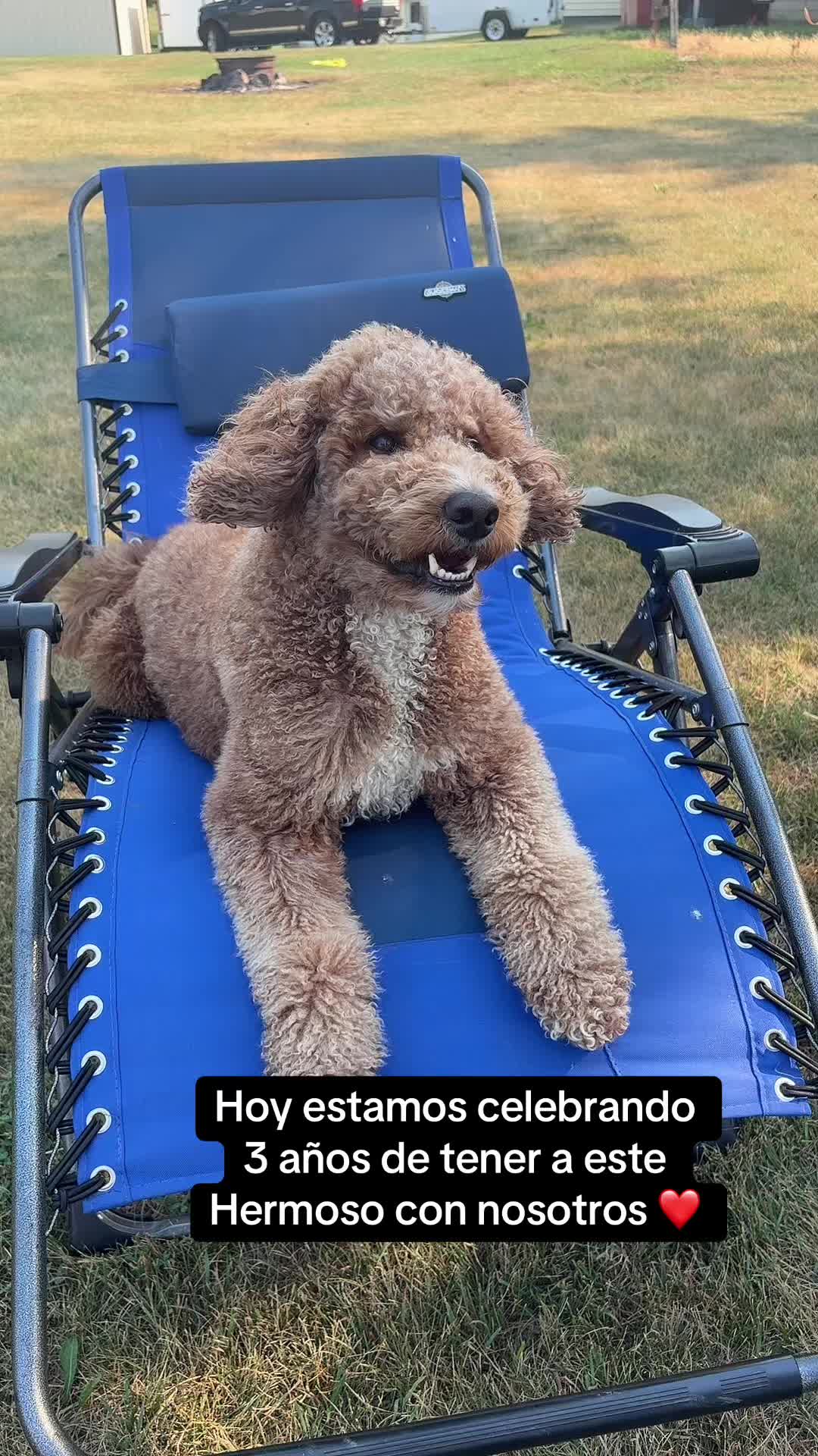 @Reyna y Churro 🐶😍