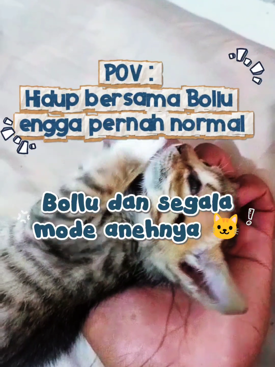 @Bollu