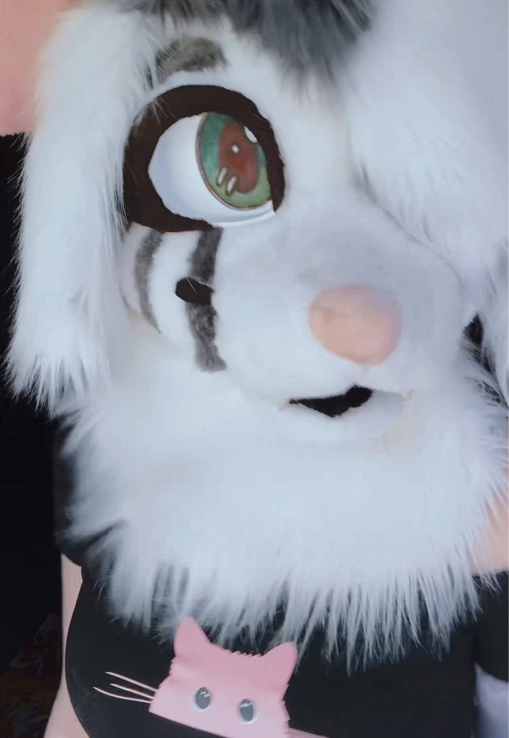 @🎀🦊Foxii🦊🎀