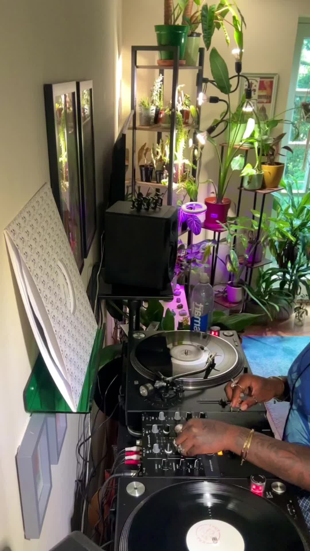 @Lena Galore 🐲