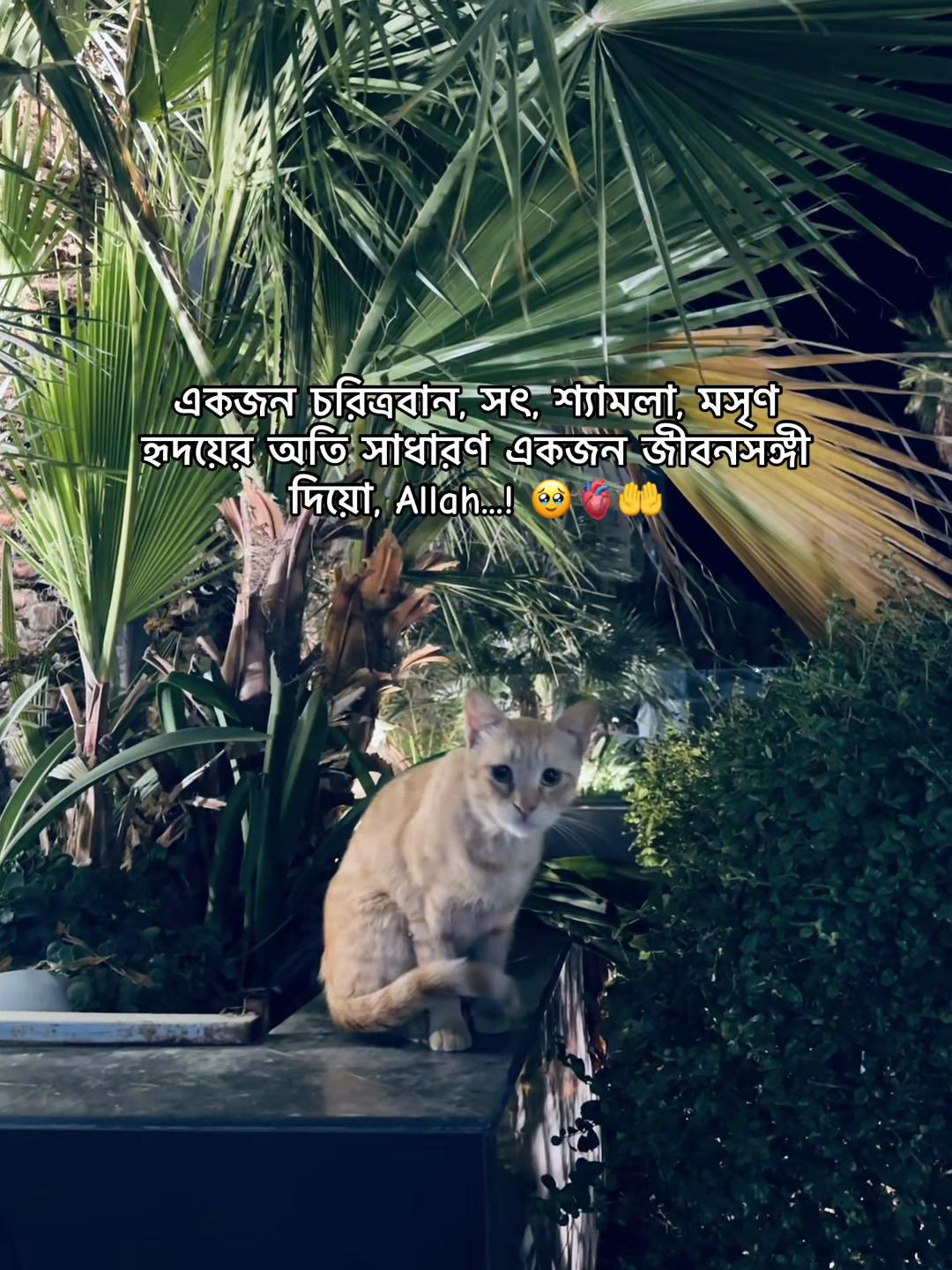 @🇰🇼F_A_R_U ✨🌸