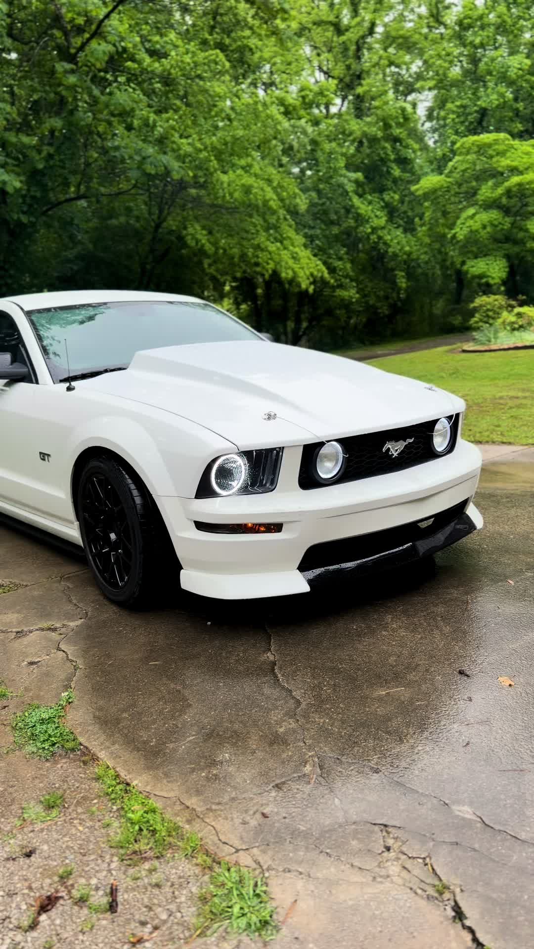 @Medusa_s197