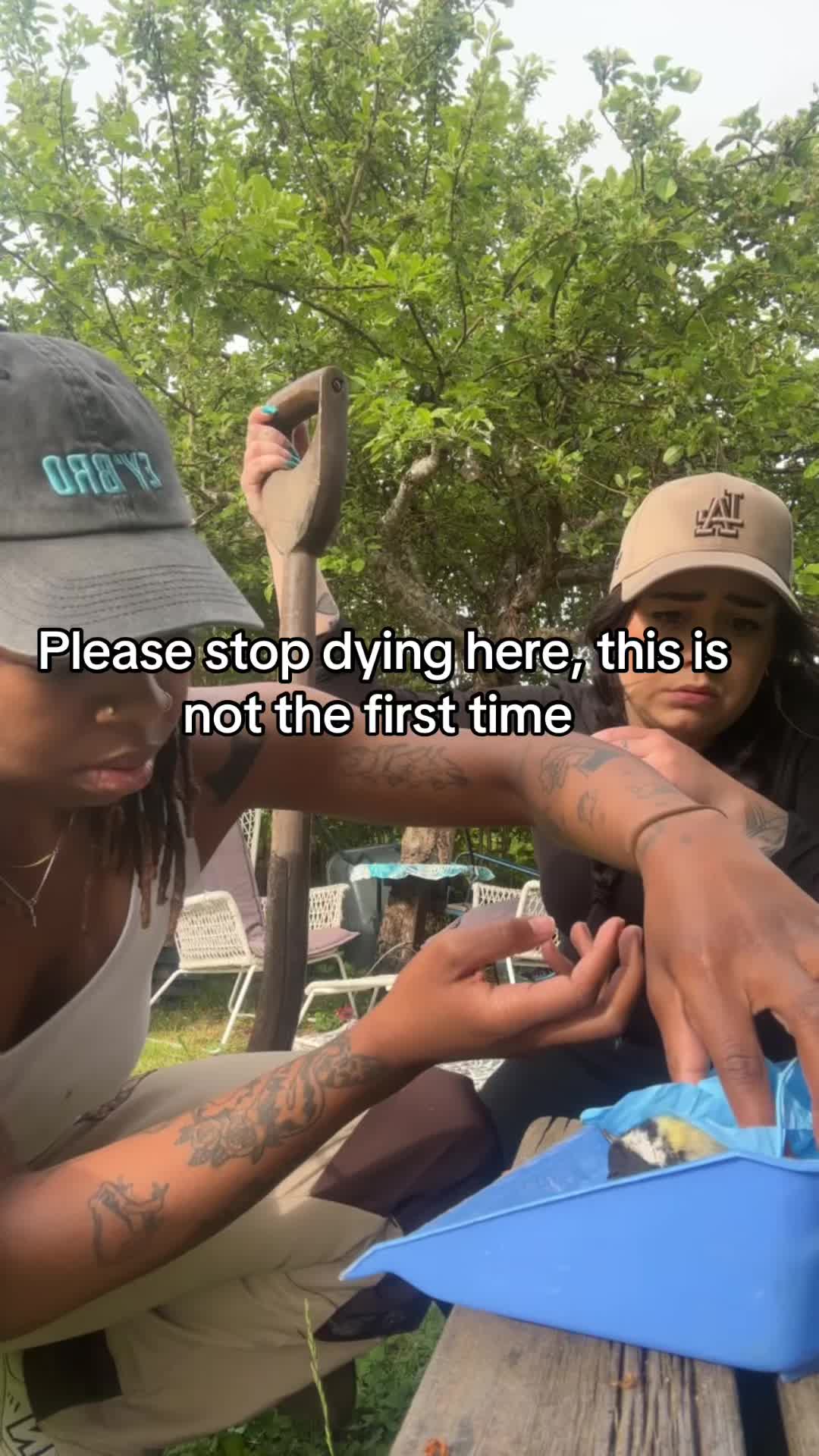 @weird.net