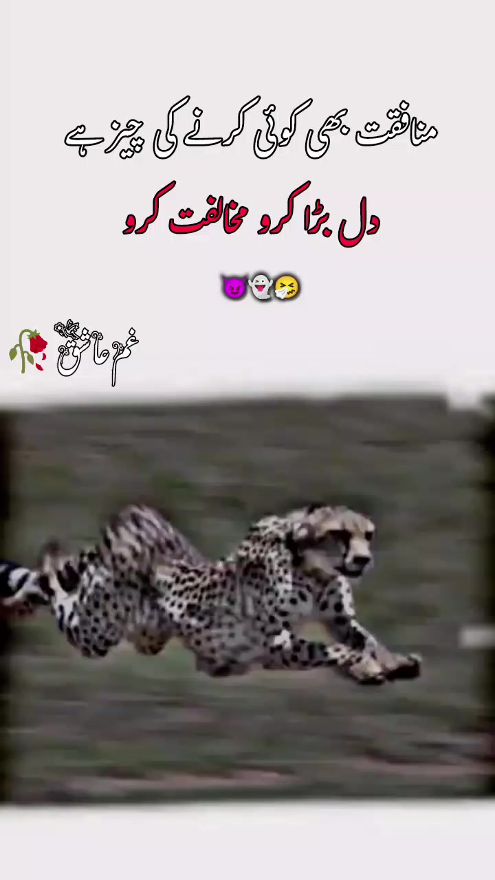 @𝙂𝙝𝙖𝙢 𝙀 𝘼𝙨𝙝𝙞𝙦