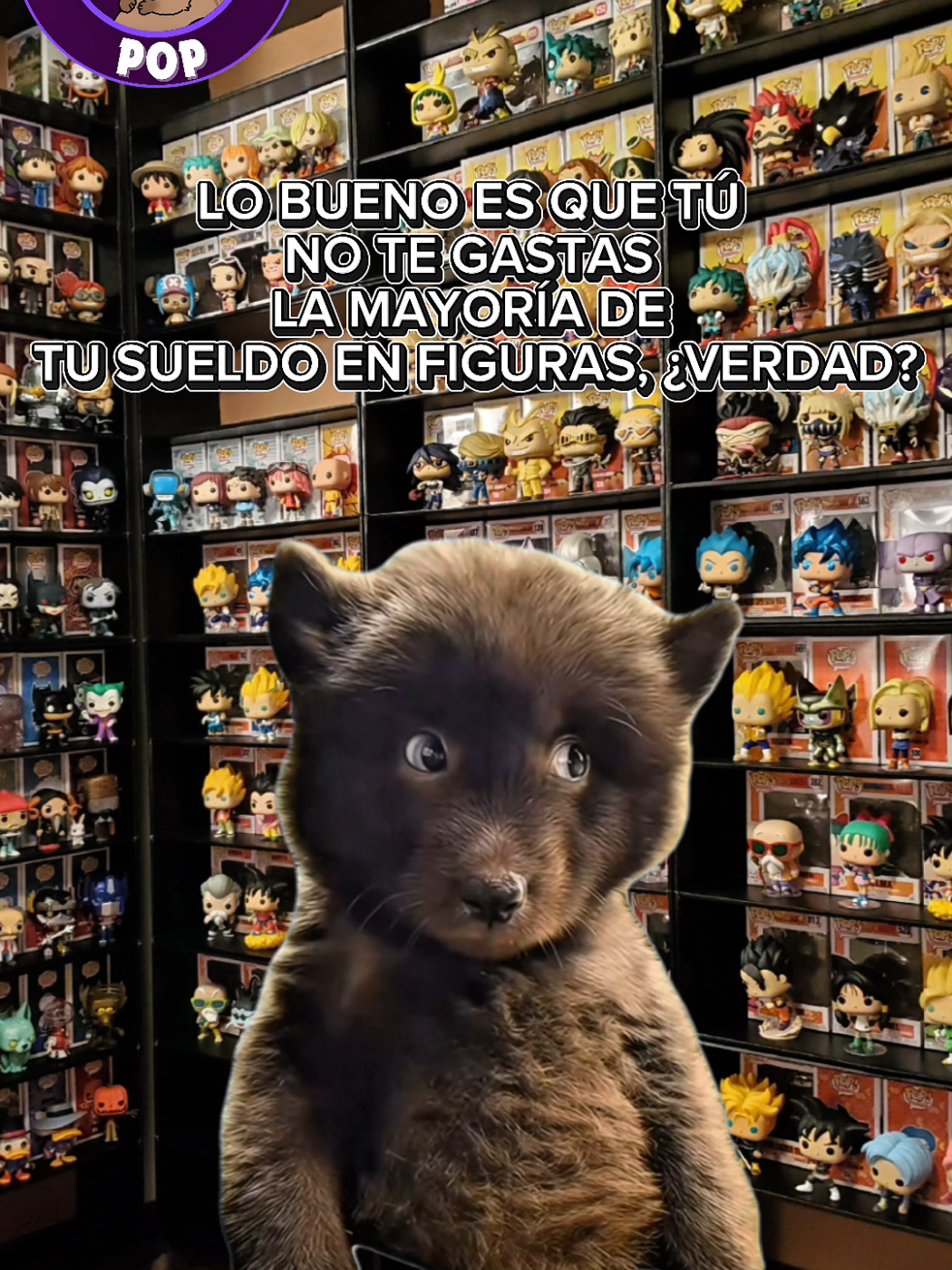 @carpinchopop