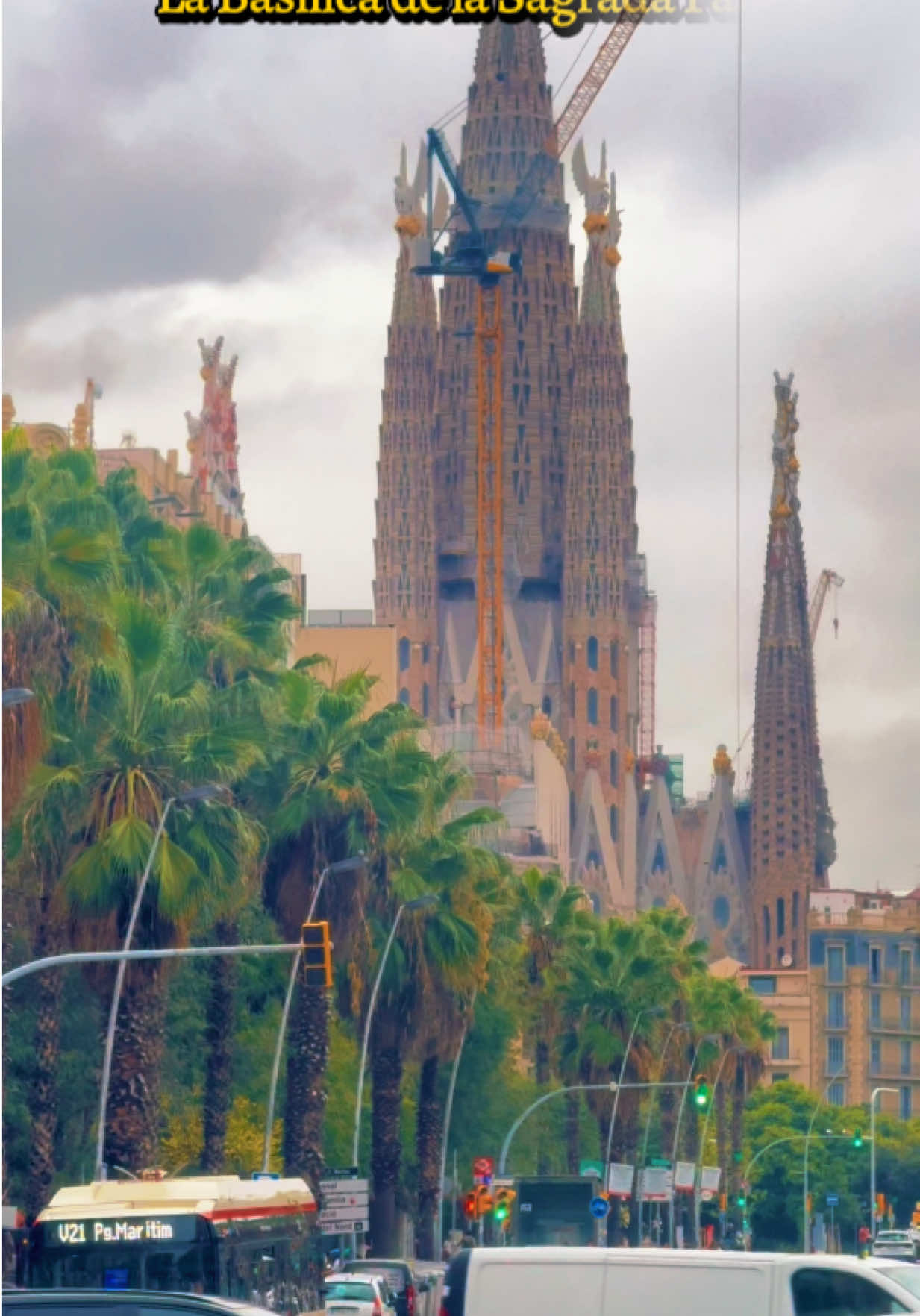 @𝓜𝓪𝓻𝓲́𝓪 𝓣𝓪𝓻𝓲𝓺🇪🇸🇵🇰