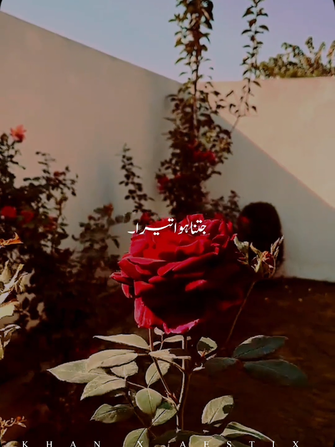 @𝙆𝙃𝘼𝙉 𝙓𝘼𝙀𝙎𝙏𝙄𝙓🎧