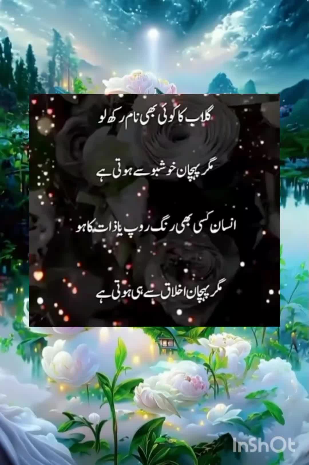@sharaiz
