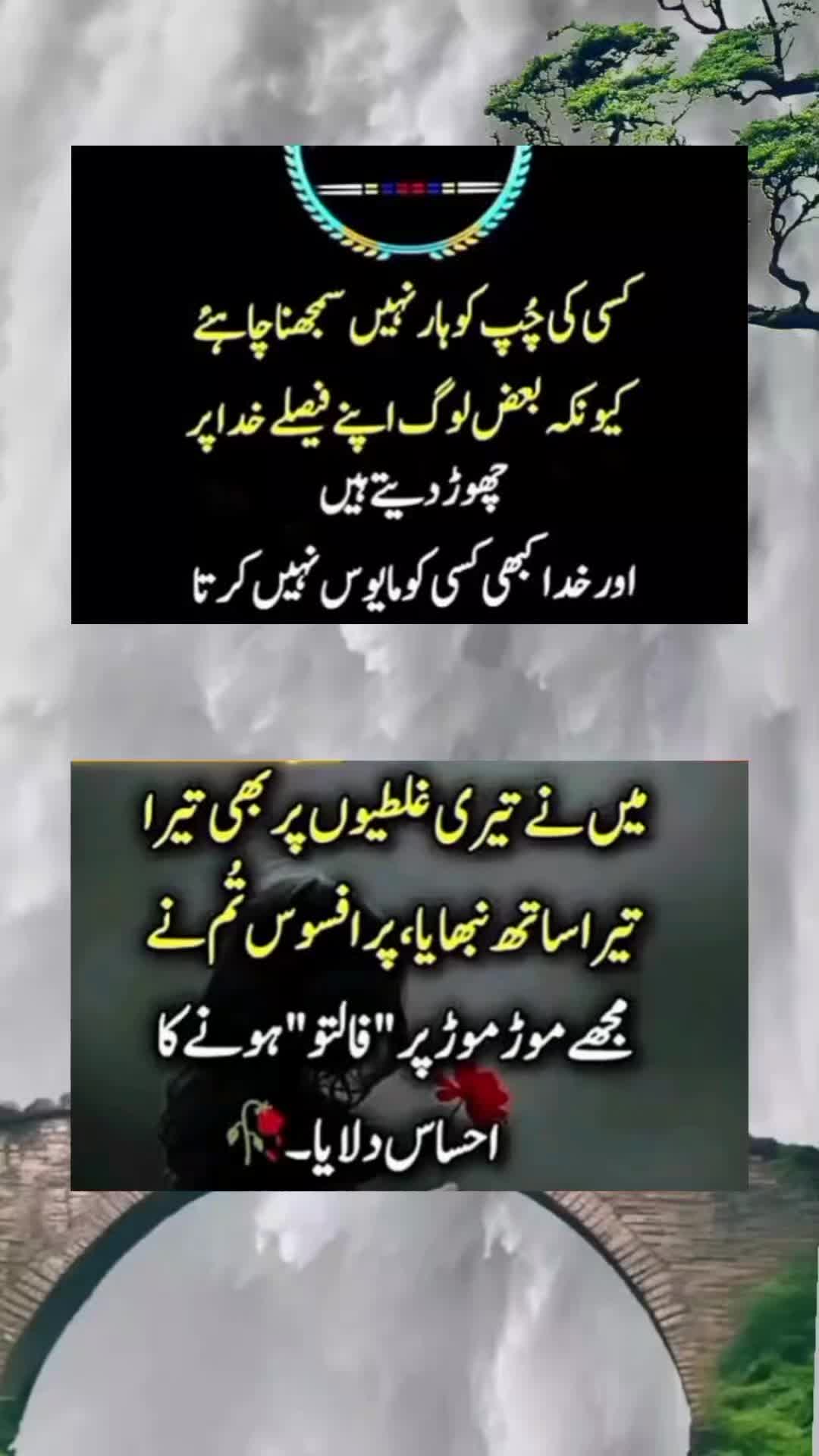 @sharaiz