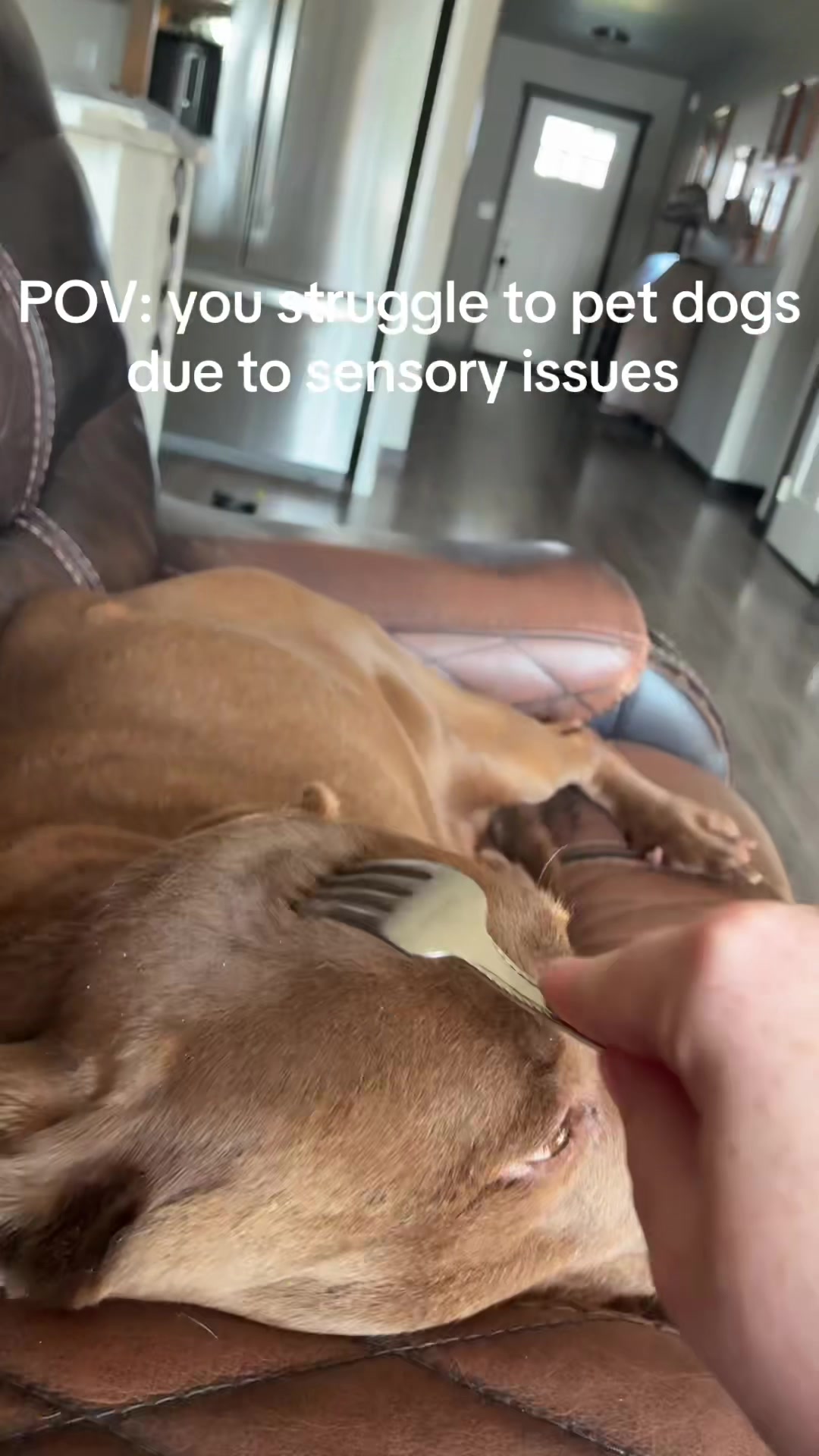 @mushie_cat