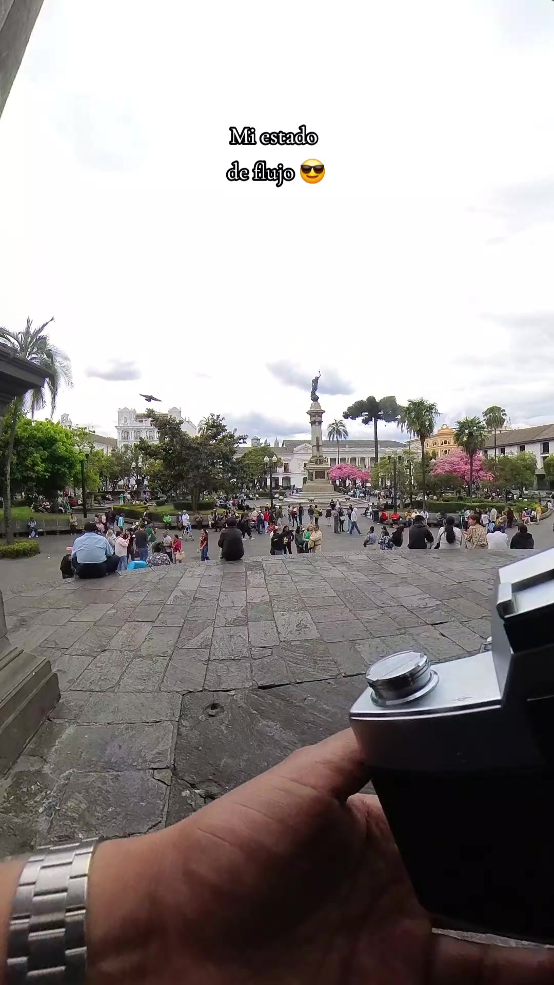 @D.León