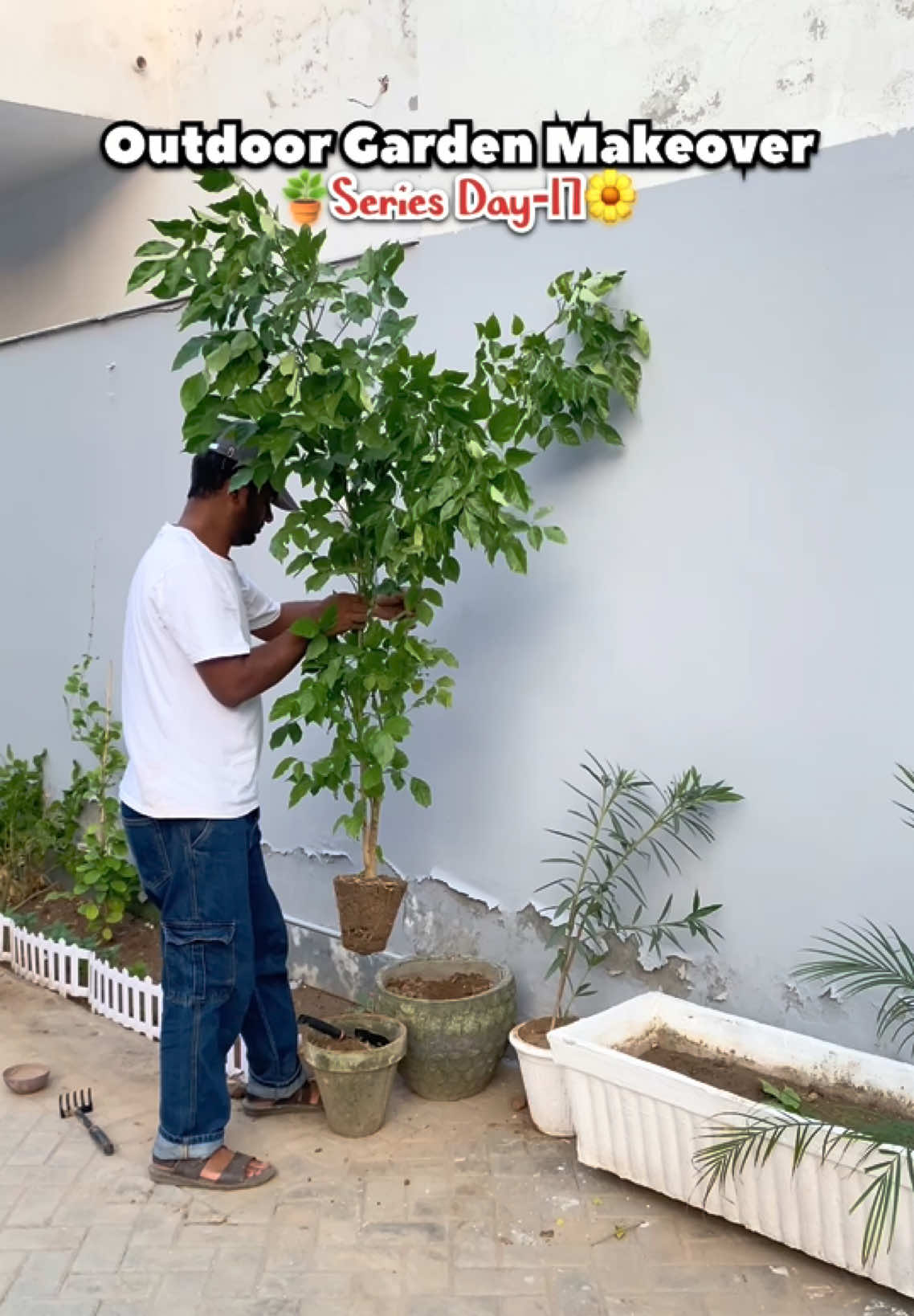 @Plantwithmomin