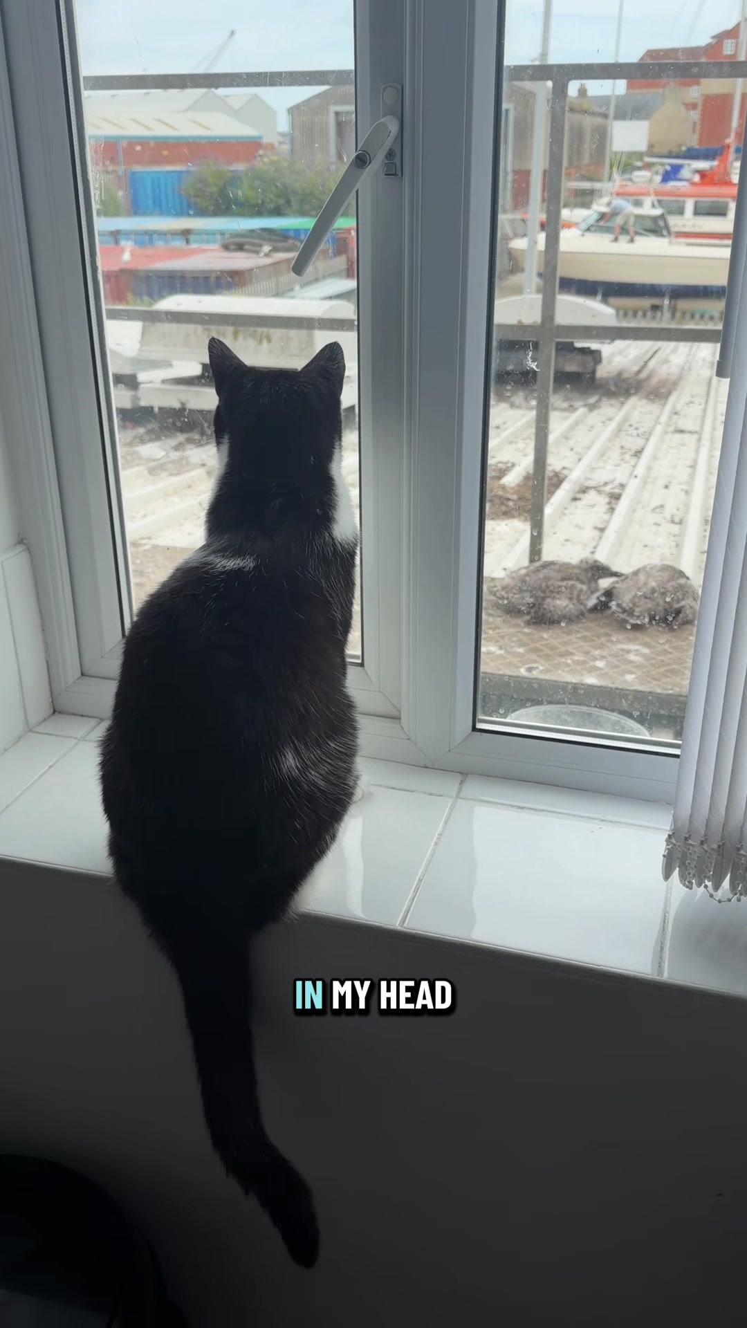 @slavic_cat_mum