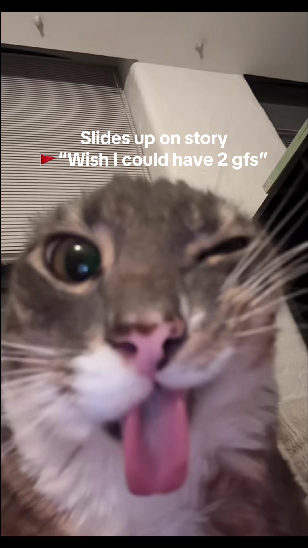 @Mo