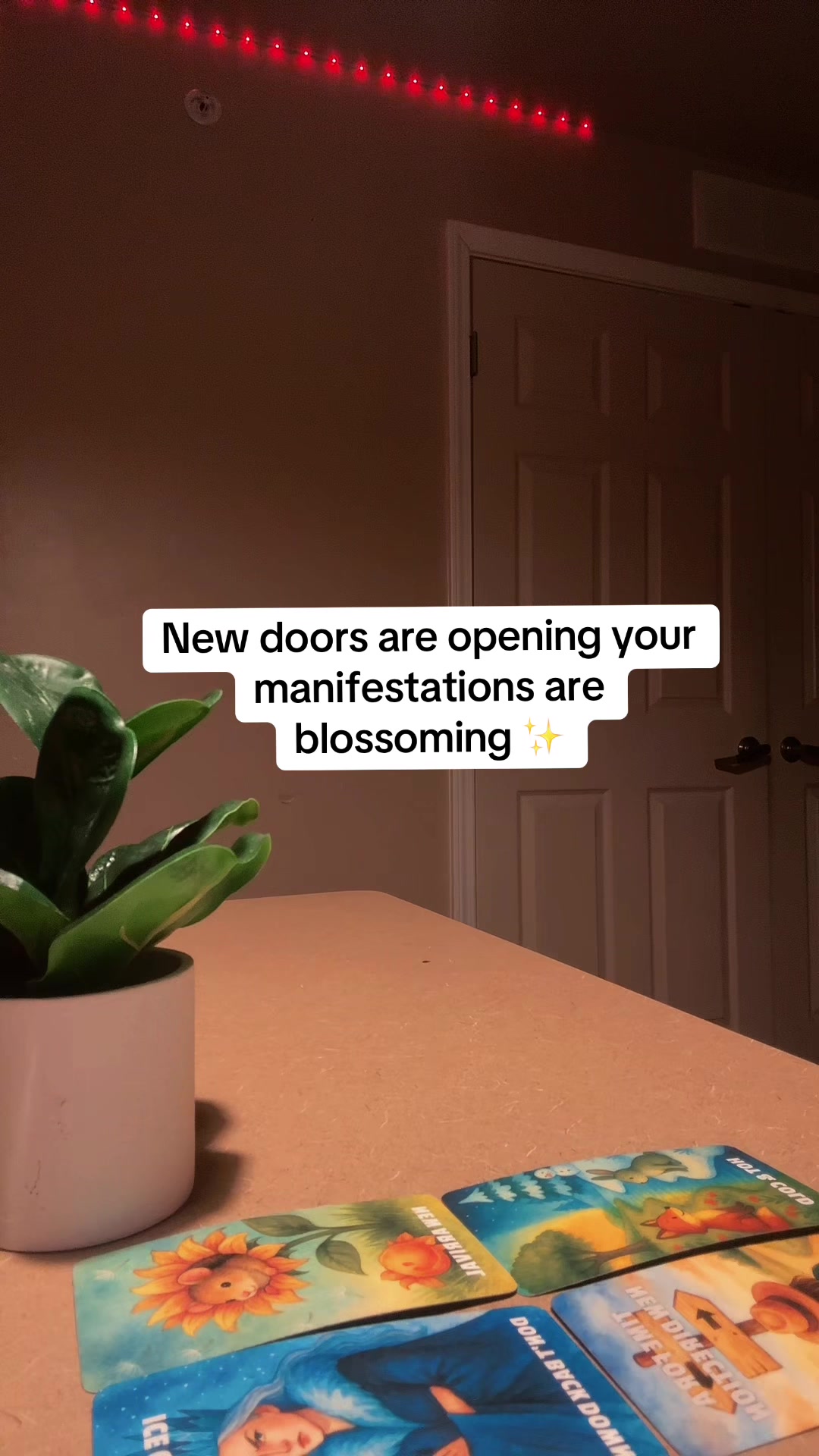 @Intuitivesativa