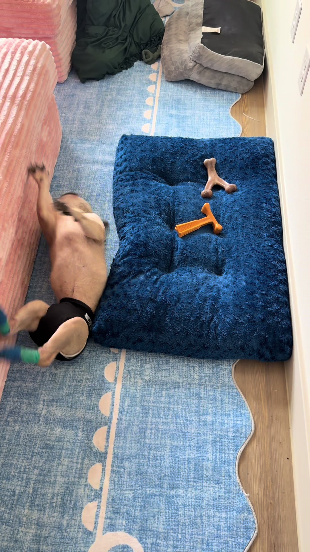 @Punmasterflex93