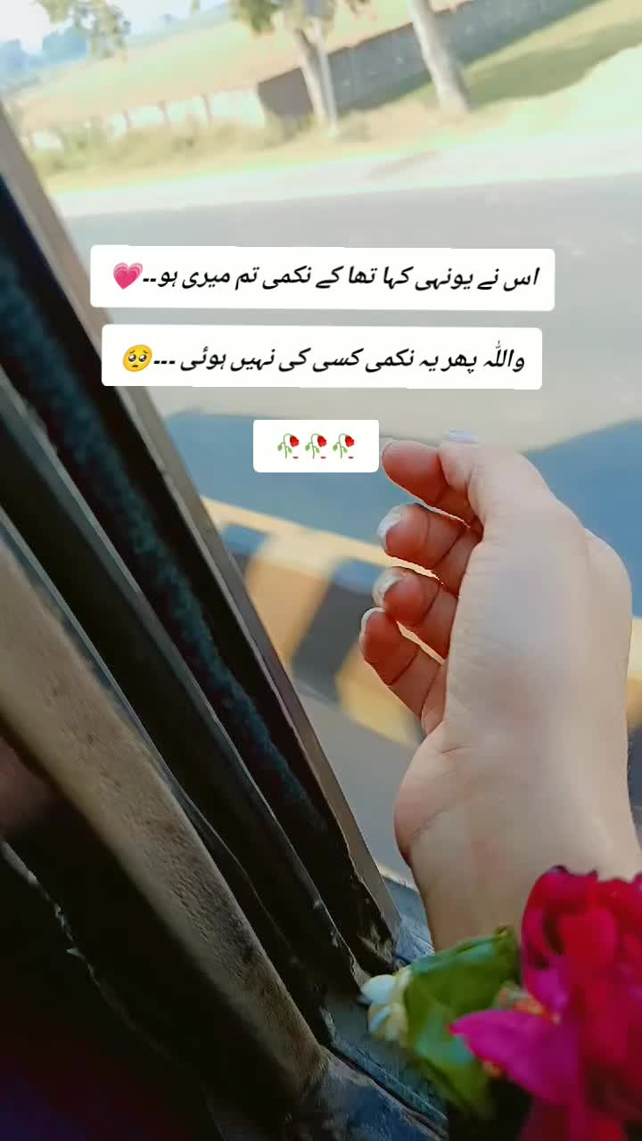 @Amalfairy2