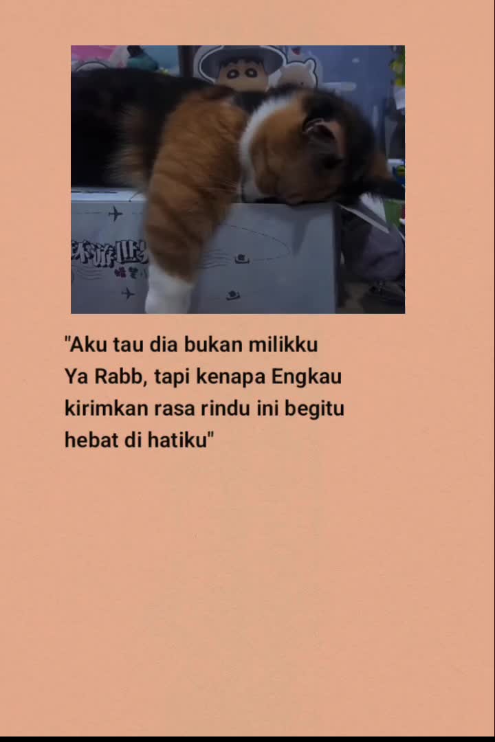 @Nu'Aiman