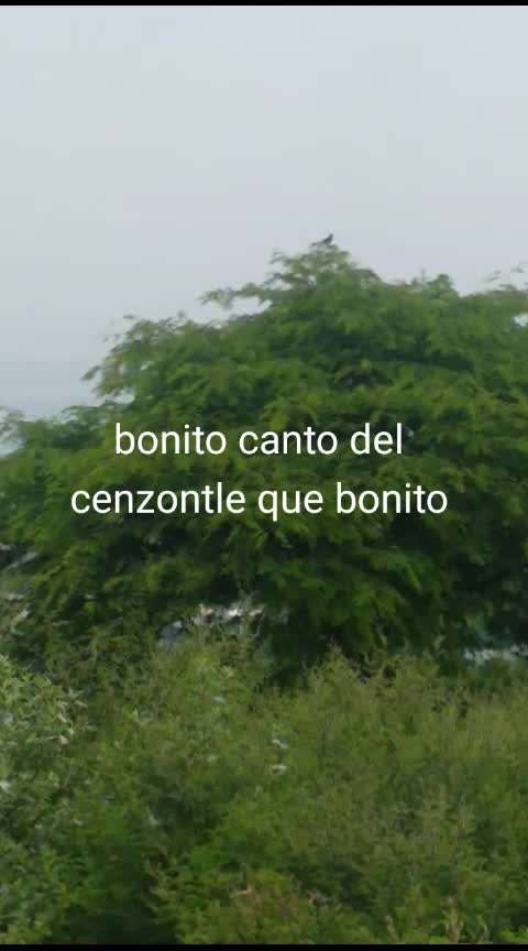 @chuy yisus Huerta