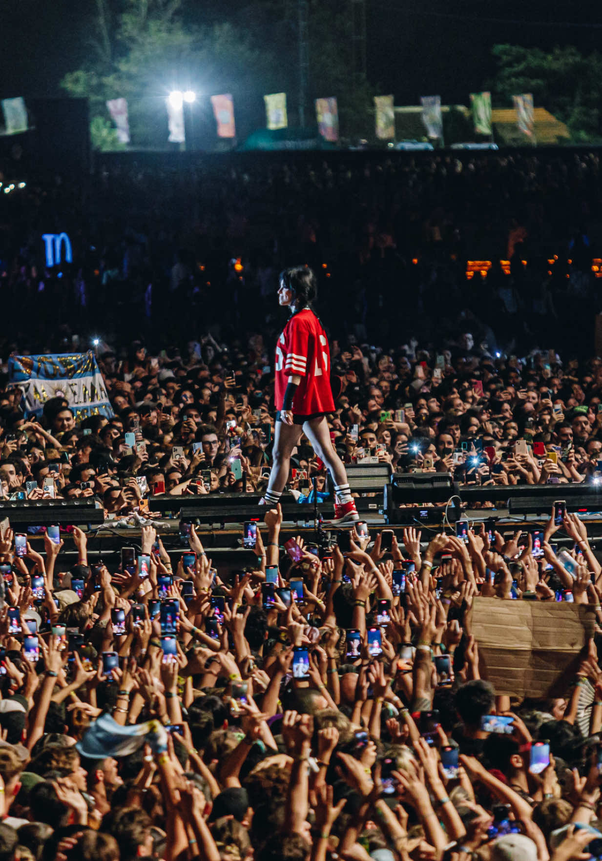 @lollapaloozaar